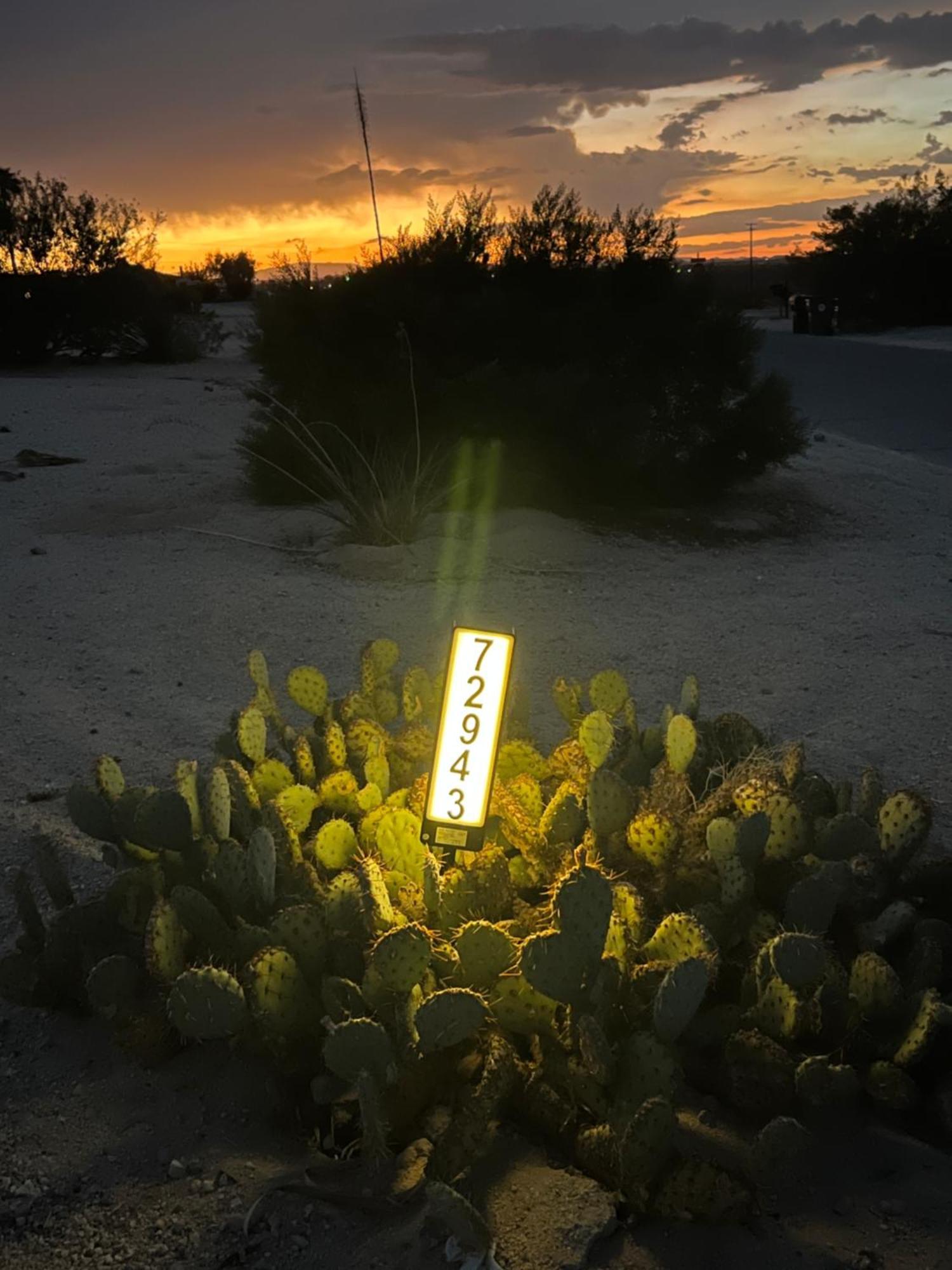Bodhi House, Joshua Tree National Park Hostel Туентинайн Палмс Екстериор снимка